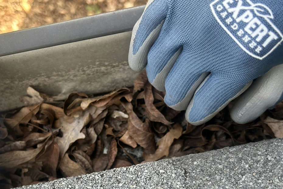 Gutter Cleaning Baytown, TX