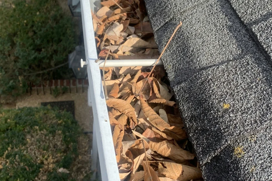 Gutter Cleaning Baytown, TX